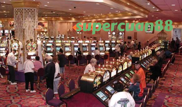 supercuan88 Live Sportsbook Markets at Your Fingertips